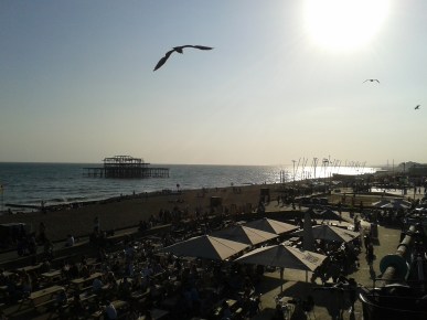 I just love the ocean - my ultimate favorite! 