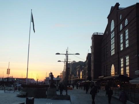 Aker Brygge is a dream in the summer. You sit down, drink a glass of white wine accompanied with fresh shrimps bought directly from the ships. In the wintertime it is perfect for a stroll or for visiting one of the many restaurants lined up along the shore. This is also where you take the boat of you want to visit the island "Nesodden" (you can take the boat back and forth to see Oslo from the ocean, a great experience). 